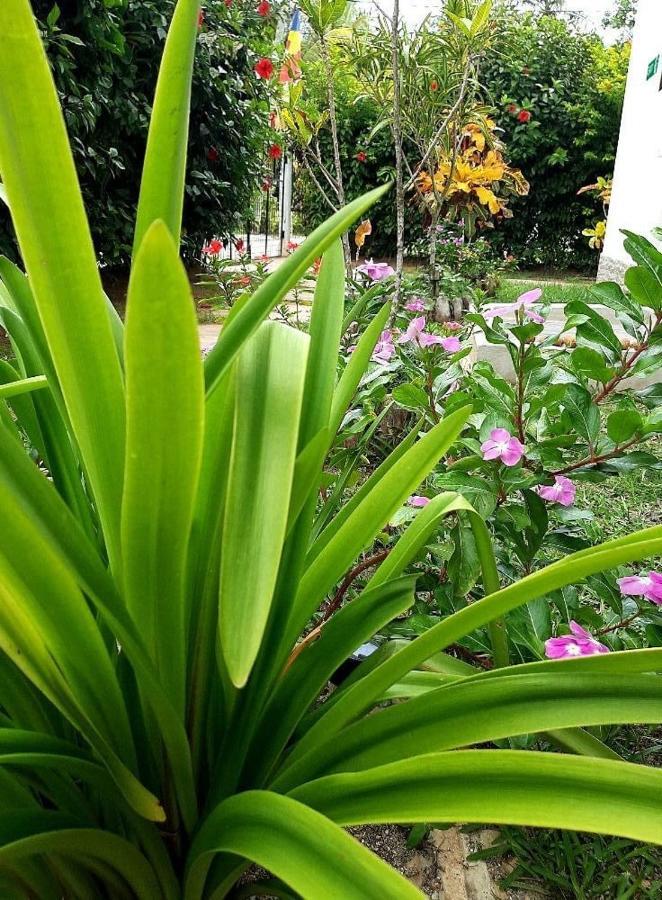 Hotel La Source Self Catering La Digue Zewnętrze zdjęcie